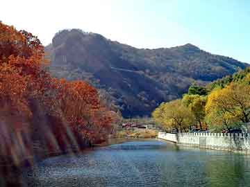 新澳門最準(zhǔn)最快免費(fèi)——探索澳門的最新動(dòng)態(tài)與獨(dú)特魅力，澳門最新動(dòng)態(tài)揭秘，魅力獨(dú)特，免費(fèi)獲取最準(zhǔn)最快信息指南