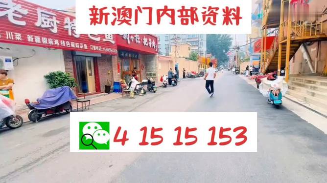 預(yù)測與分析，2025年澳門天天開好彩的未來展望，澳門彩票市場展望，預(yù)測與分析，2025年天天開好彩的未來趨勢