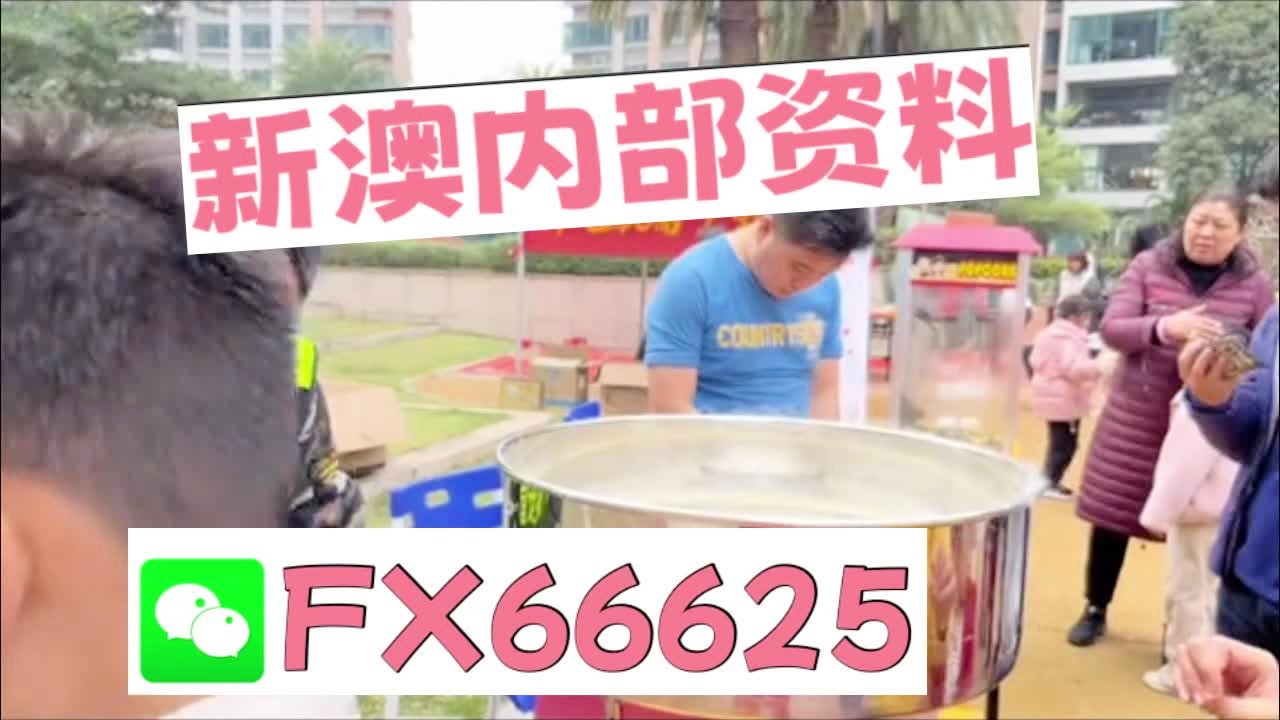 新奧2025正版資料大全，全面解析與深度探索，新奧2025正版資料大全，全面解析與深度探索揭秘