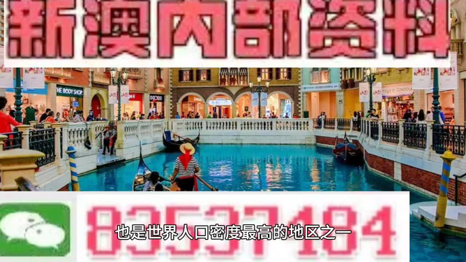 澳門(mén)王中王正版游戲，探索未來(lái)的新篇章（2025年展望），澳門(mén)王中王正版游戲，探索未來(lái)新篇章，展望2025年發(fā)展