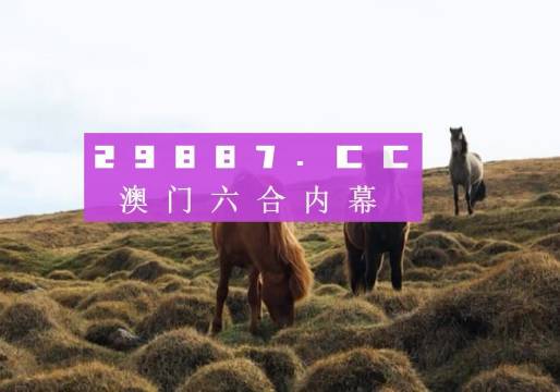 澳門(mén)今晚開(kāi)獎(jiǎng)什么，揭秘彩票背后的秘密與策略分析，澳門(mén)彩票開(kāi)獎(jiǎng)揭秘，策略分析與秘密探索