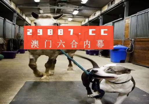 澳門一肖一碼一必中一肖，同舟前進(jìn)的奧秘與策略，澳門一肖一碼必中策略與前進(jìn)奧秘，同舟共濟(jì)的揭秘與策略