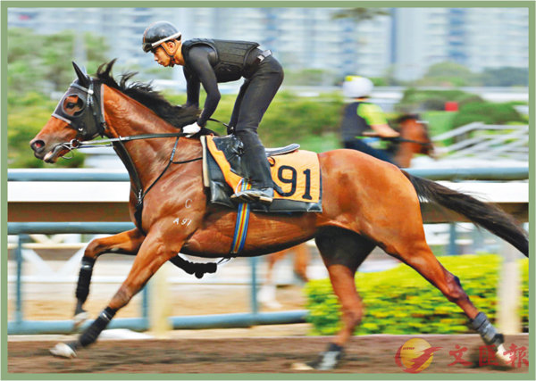 香港賽馬，探索數(shù)字背后的激情與榮耀，香港賽馬，數(shù)字背后的激情與榮耀之旅