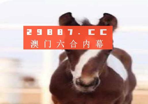 澳門一肖一碼一待一中資料，深度解析與探索，澳門一肖一碼深度解析與探索揭秘資料