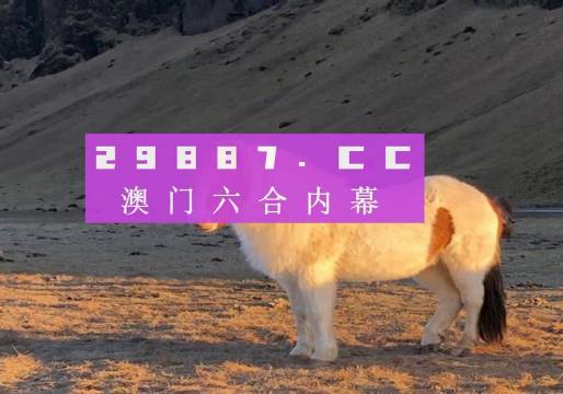 澳門天天彩資料正版免費(fèi)特色快8，探索彩票世界的魅力與機(jī)遇，澳門天天彩正版特色快8，彩票世界的魅力與機(jī)遇探索