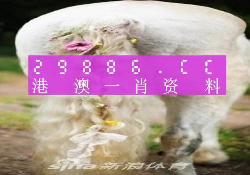 澳門(mén)羊了個(gè)羊與各大圖庫(kù)的資料揭秘，2023年澳門(mén)今晚必中一肖一碼永久免費(fèi)資料庫(kù)大解密，澳門(mén)羊了個(gè)羊與資料庫(kù)揭秘，2023年必中一肖一碼永久免費(fèi)資料大解密