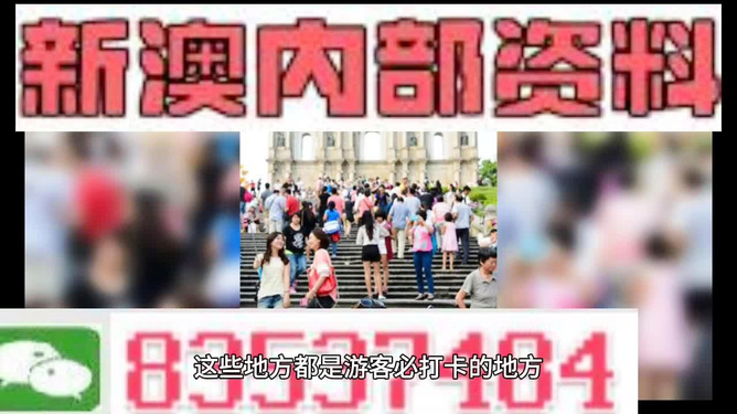 新澳天天開獎資料大全旅游團——探索澳門的魅力之旅，澳門魅力探索之旅，新澳天天開獎資料大全旅游團