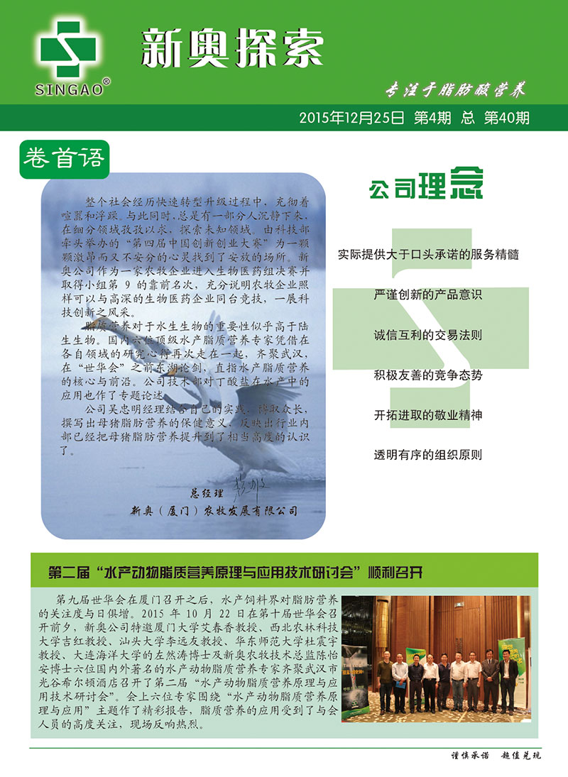 2025新澳正版資料查詢指南，2025新澳正版資料查詢手冊