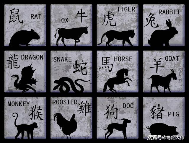 新澳特碼，羊?；⒏鲾?shù)10的獨(dú)特魅力與解析，新澳特碼，羊?；⒏鲾?shù)10的獨(dú)特魅力深度解析