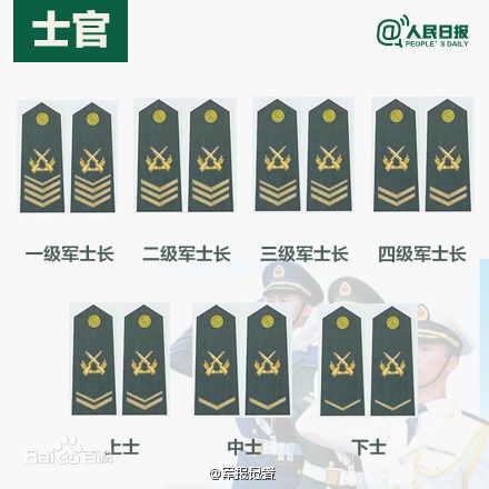 全球各國軍士長軍銜對照表及其重要性，全球各國軍士長軍銜對照表，揭示其重要性