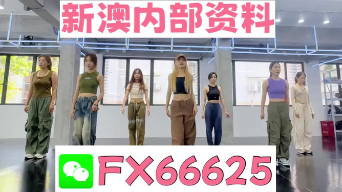 新澳持碼會(huì)資料詳解，新澳持碼會(huì)資料全面解析
