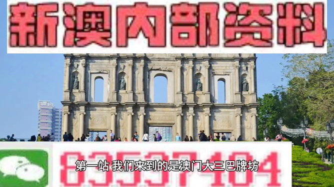 澳門最精準正最精準龍門