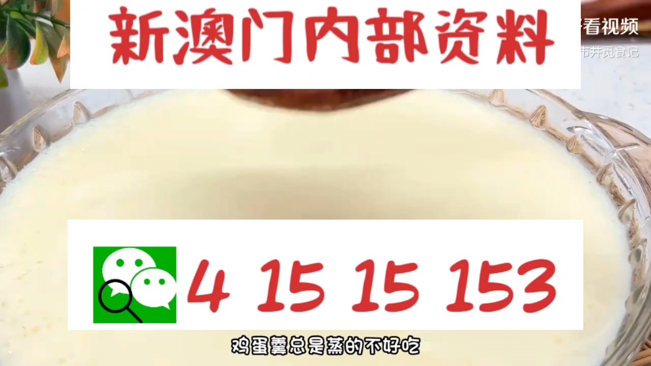 新澳門中特網中特馬，探索與解析，澳門中特馬探索與解析指南