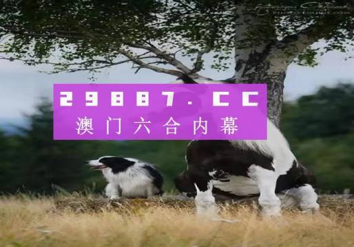 澳門正版全資料，探索2021年的無(wú)限可能，澳門正版全資料揭秘，2021年無(wú)限可能的探索