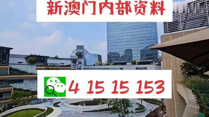 新澳門(mén)單雙，探索數(shù)字世界的奧秘與魅力，澳門(mén)數(shù)字世界的奧秘與魅力探索，單雙數(shù)的奇幻之旅