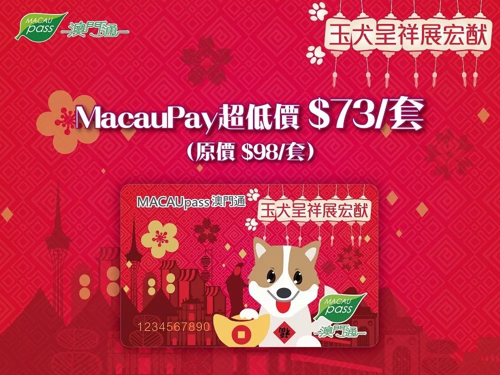 澳門生肖卡，探索未來(lái)的趨勢(shì)與機(jī)遇（2025年展望），澳門生肖卡，未來(lái)趨勢(shì)與機(jī)遇展望（2025年）
