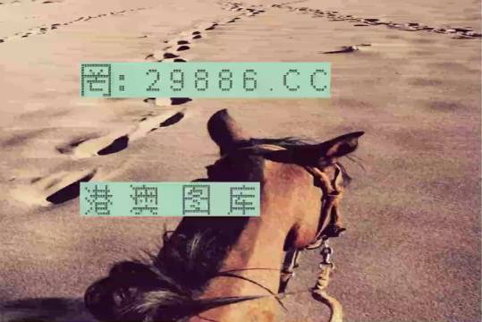香港特馬資料王中王24期，深度解析與探索，香港特馬資料王中王深度解析與探索，第24期探索之旅