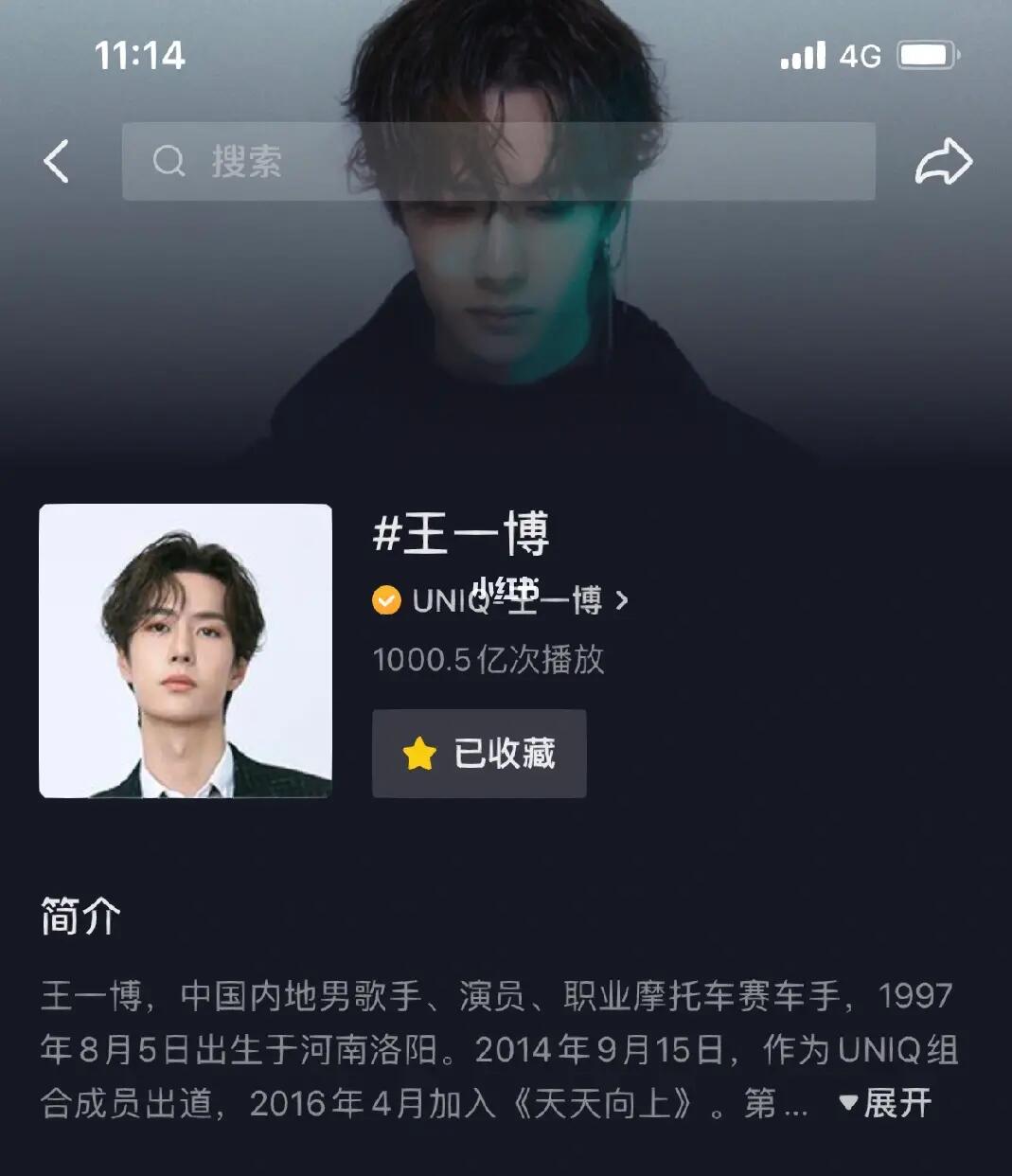 王中王一肖內(nèi)部資料詳解，王中王一肖內(nèi)部資料深度解析