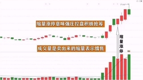 王中王一肖平碼，揭秘背后的故事與SEO策略，王中王一肖平碼背后的故事與SEO策略揭秘