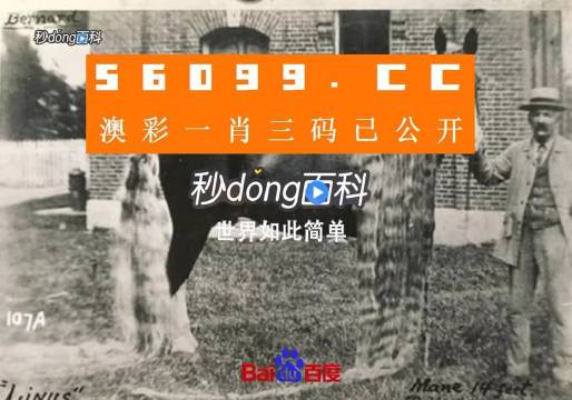 澳門王中王心水王中王，探索與解析，澳門王中王心水奧秘，深度探索與解析