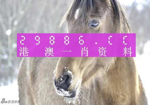 澳門一肖一碼背后的故事，一個關于精準預測與傳奇的揭秘，澳門一肖一碼傳奇背后的精準預測與揭秘之旅