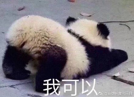 澳門精準(zhǔn)四不像最新正版，揭秘與探索，澳門精準(zhǔn)四不像揭秘與探索最新正版資訊