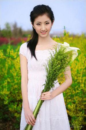新澳門生肖走勢圖精準(zhǔn)版，解讀與SEO策略，新澳門生肖走勢圖精準(zhǔn)解讀與SEO策略揭秘