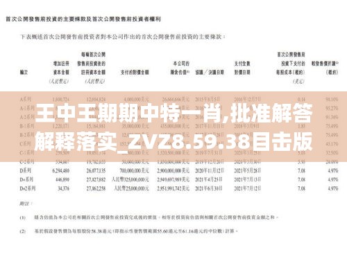 王中王一肖精選十碼期中，揭秘彩票背后的秘密策略，彩票背后的秘密策略揭秘，王中王一肖精選十碼期中揭秘彩票投注技巧