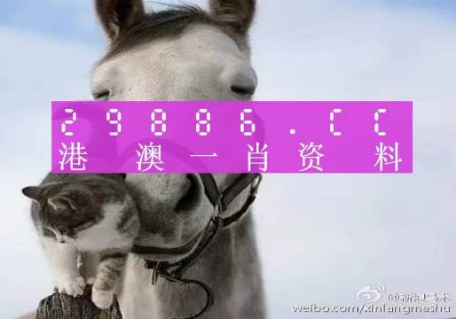 揭秘劉伯溫四肖選一碼的意思——探尋背后的故事與真相，揭秘劉伯溫四肖選一碼背后的真相與故事