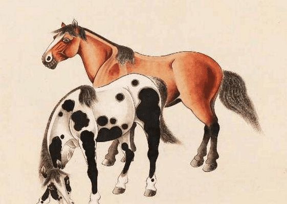 馬一王中王特平一肖圖，深度解析與SEO優(yōu)化策略，深度解析馬一王中王特平肖圖，SEO優(yōu)化策略探討