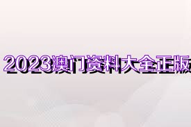 2025新奧正版資料免費獲取指南，2025新奧正版資料免費獲取攻略
