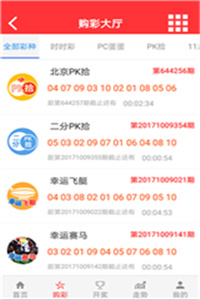 實時體驗與深度解析揭秘