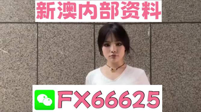 澳門正版資料大全完整版，探索與揭秘2025年澳門正版資料的世界，澳門正版資料大全揭秘，探索未來至2025年的奧秘世界