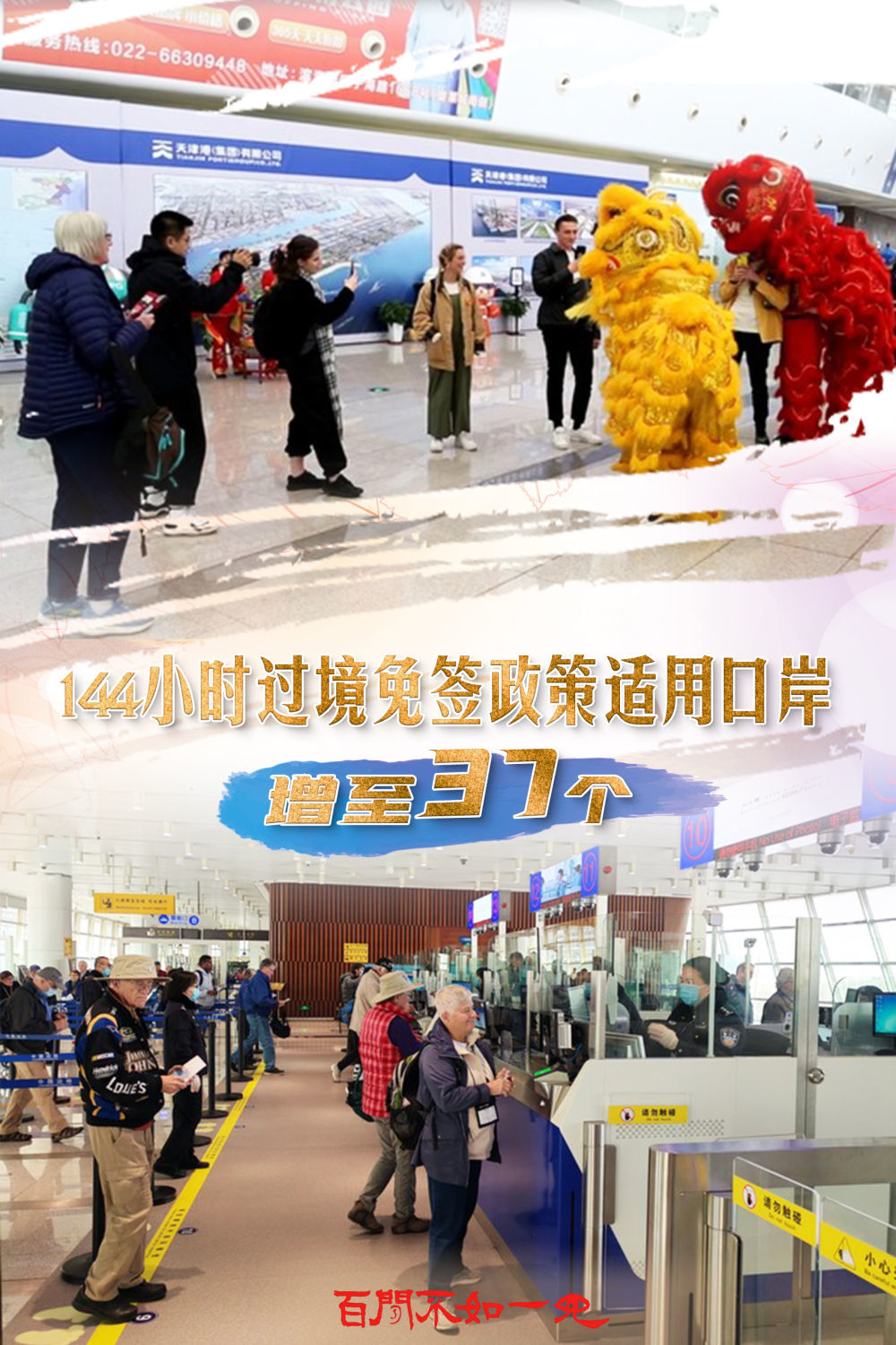 揭秘王中王，一碼一肖一特一中背后的故事，揭秘王中王背后的故事，一碼一肖一特一中傳奇揭秘