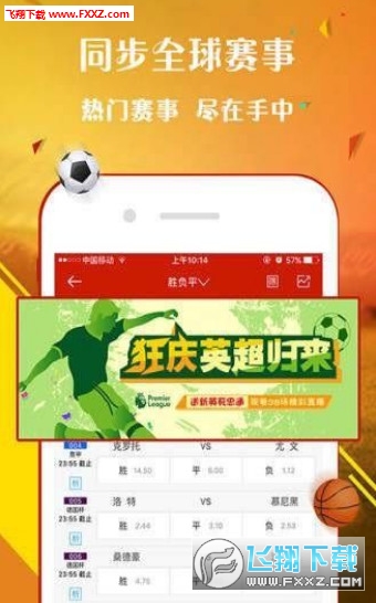 王中王一肖，探尋背后的故事與影響力（2019年），王中王一肖，背后的故事與影響力揭秘（2019年）