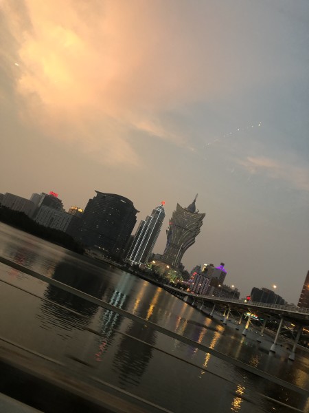 澳門今晚必開一肖一特，深度解析與預(yù)測(cè)，澳門今晚生肖特碼深度解析與預(yù)測(cè)，一肖一特必開趨勢(shì)探討