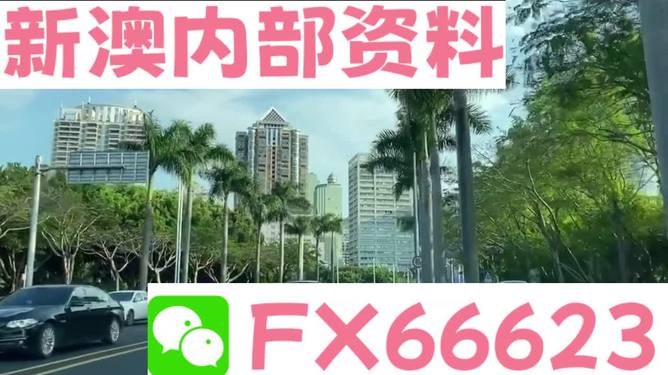 新澳精準(zhǔn)資料免費(fèi)提供，探索第221期的奧秘與價(jià)值，新澳精準(zhǔn)資料揭秘第221期奧秘與價(jià)值