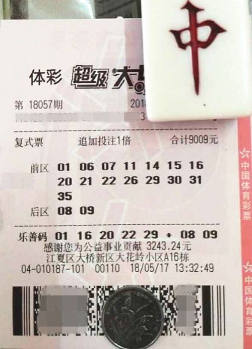 澳門六開彩天天開獎結果查詢，輕松掌握最新動態(tài)，澳門六開彩最新開獎結果查詢，輕松掌握每日動態(tài)