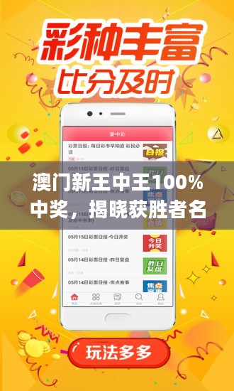 王中王藏寶閣猜一肖，揭秘背后的秘密與SEO策略，王中王藏寶閣猜一肖背后的秘密與SEO策略揭秘