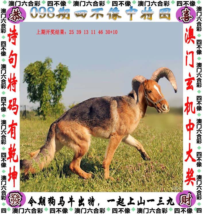 澳門四不像圖，神秘與獨(dú)特的藝術(shù)魅力，澳門四不像圖，神秘獨(dú)特的藝術(shù)魅力