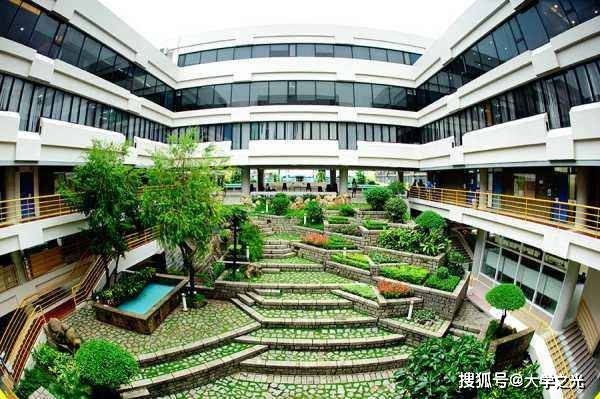 新澳芳草，最精準(zhǔn)的探尋與體驗(yàn)，新澳芳草，精準(zhǔn)探尋與獨(dú)特體驗(yàn)
