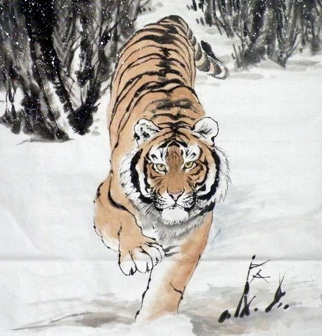 猛虎下山王中王，揭秘一生肖的神秘魅力，揭秘生肖之王——猛虎下山之神秘魅力