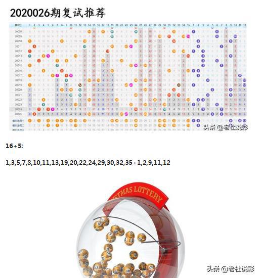 王中王026期指一生肖，深度解讀與SEO優(yōu)化策略，王中王026期生肖深度解讀與SEO優(yōu)化策略全解析