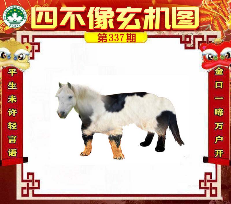 王中王四不像論壇必中一肖WW——深度解析與探索，王中王四不像論壇必中一肖WW，全面解析與探索揭秘