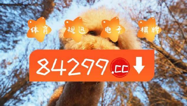 今期必中一肖一碼白小姐，揭秘彩票背后的秘密與策略，揭秘彩票背后的秘密與策略，白小姐今期必中一肖一碼解析