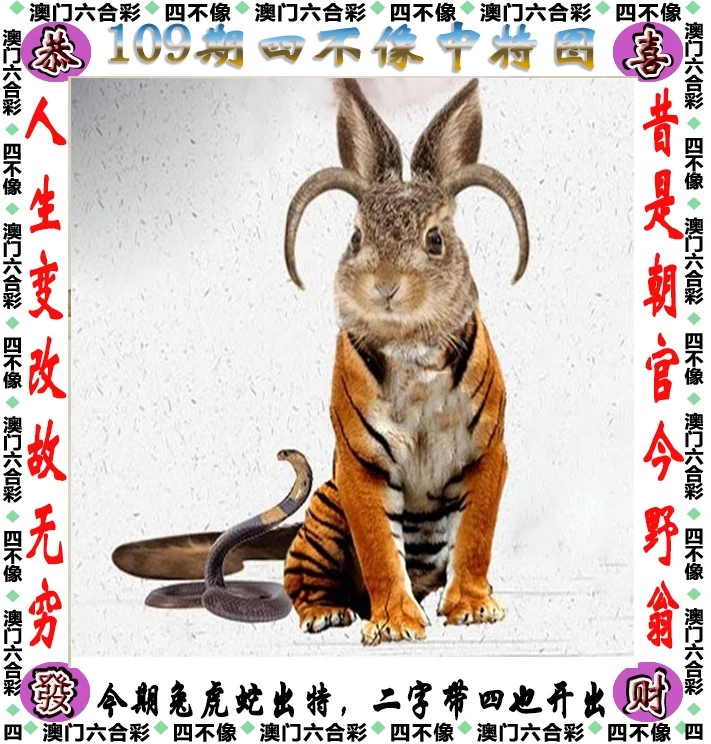四不像王中王資料一肖，深度解析與探索，四不像王中王資料一肖，深度解析與探索揭秘
