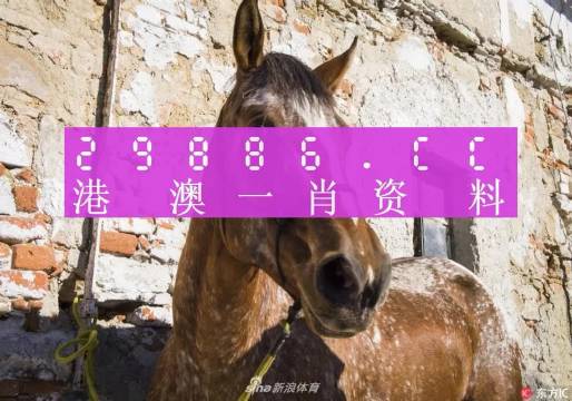 王中王資料一門肖中，深度解析與探索，王中王資料一門肖詳解，深度解析與探索