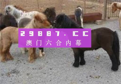 王中王平特一肖四不像圖，深度解析與SEO優(yōu)化策略，王中王平特一肖四不像圖，深度解析與SEO優(yōu)化策略探討