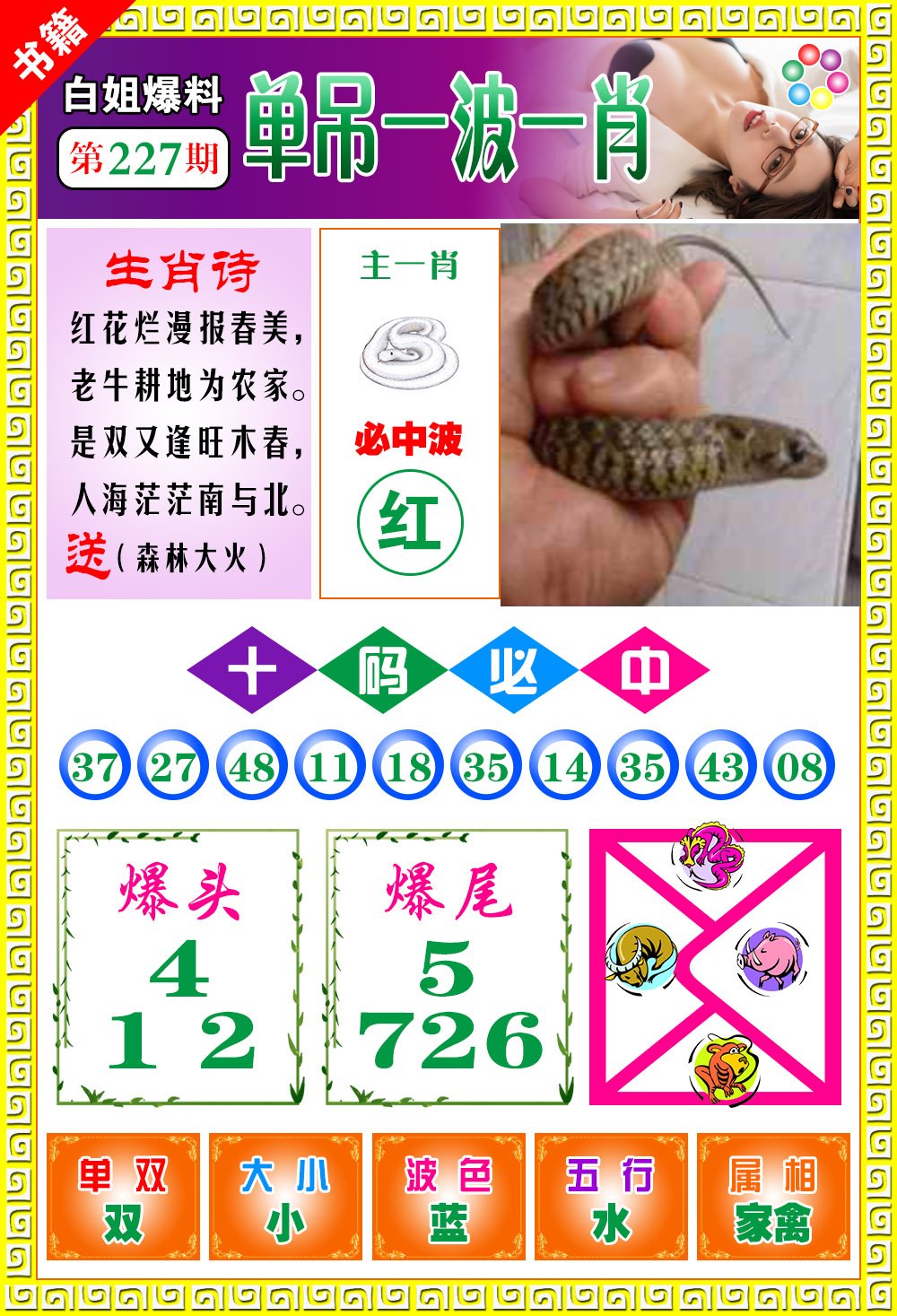 王中王免費(fèi)一肖開(kāi)獎(jiǎng)，揭秘彩票背后的秘密，揭秘彩票背后的秘密，王中王免費(fèi)一肖開(kāi)獎(jiǎng)探秘