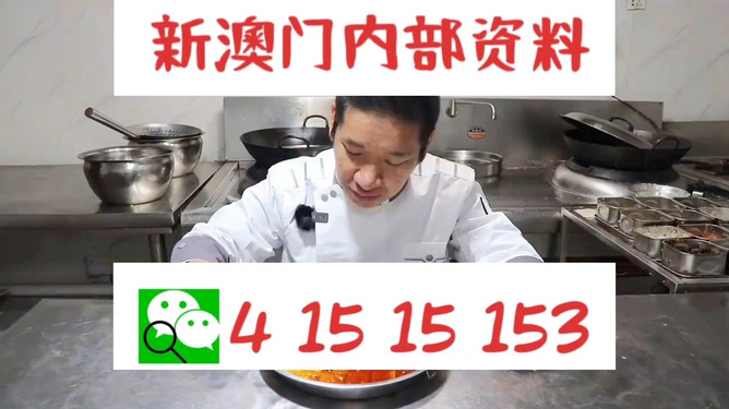 管家婆一肖資料大全，深度解析與探索，管家婆一肖資料深度解析與探索大全